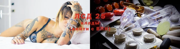 круглые Абаза