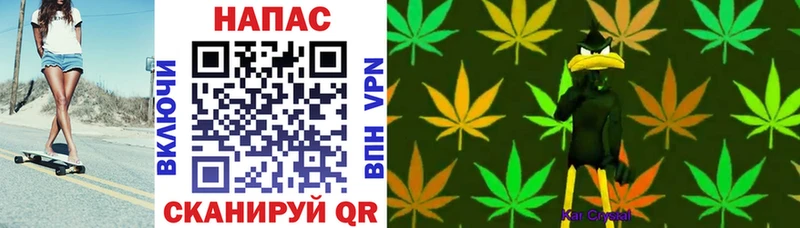 МАРИХУАНА Ganja  Сольцы 